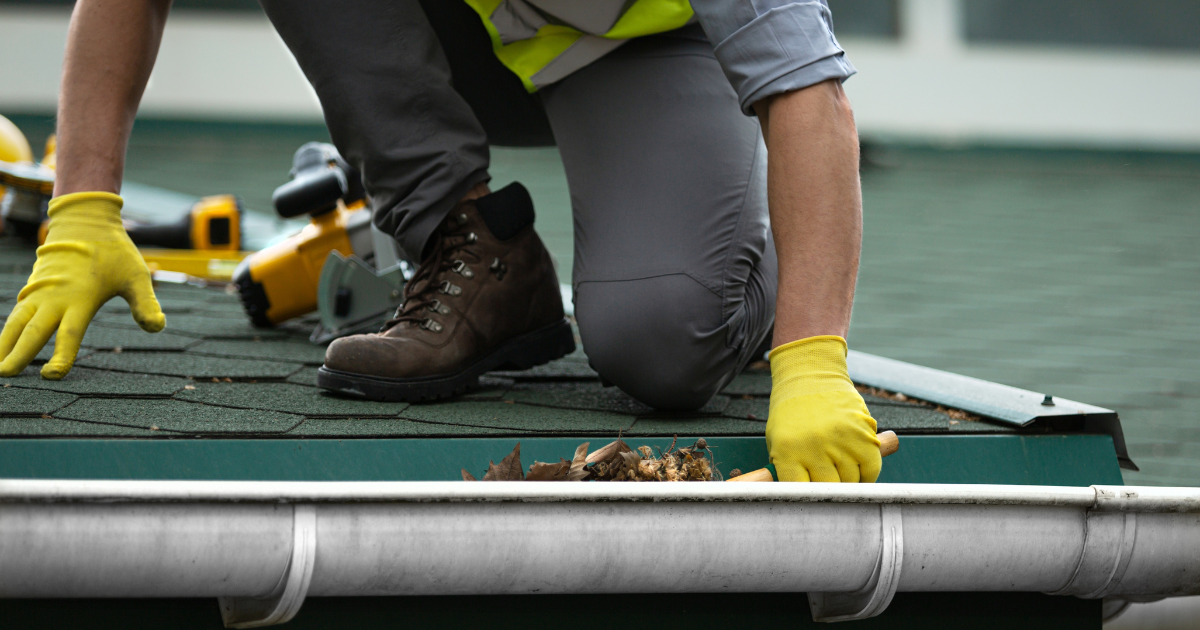 Professional cleaning gutters